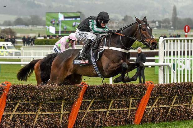altior-cheltenham