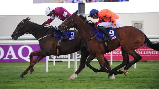 blow-by-blow-punchestown