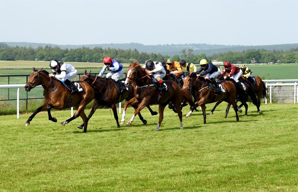 Fontwell Racecourse