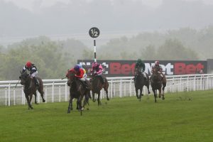 Horses running in front of NetBet logo