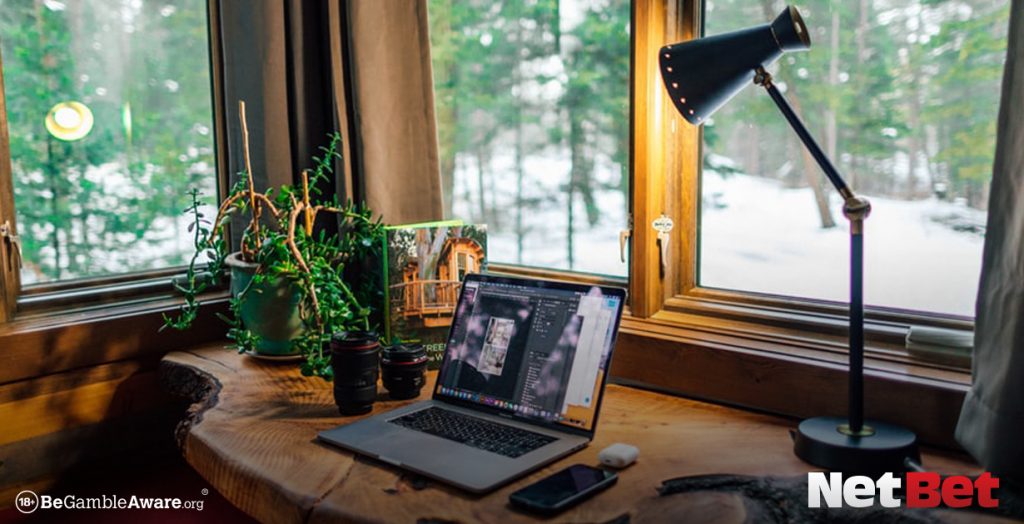 Laptop on a desk with a plant and a lamp