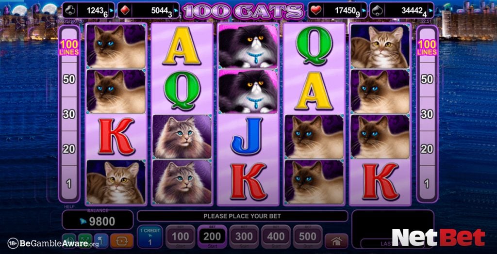 100 cats slots game