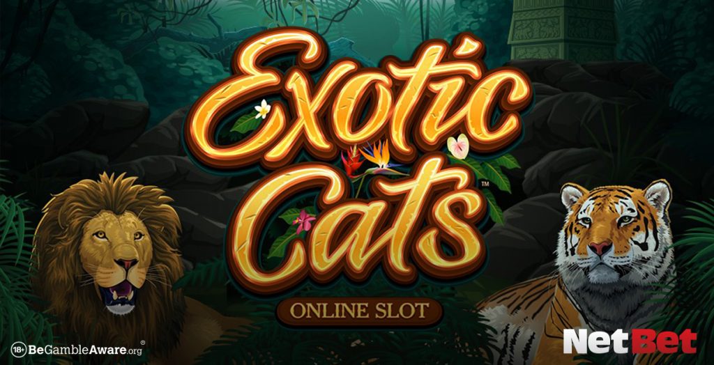 best exotics cat slot game online