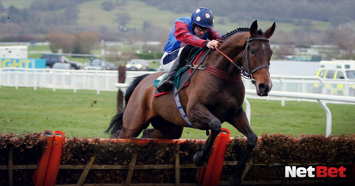 Stayers' Hurdle Paisley Park vs Thyme Hill NetBet UK