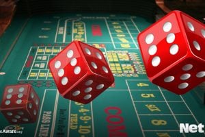 Discover everything you need to know about dice games at NetBet Casino