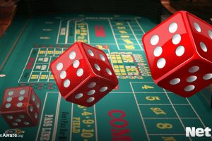 Discover everything you need to know about dice games at NetBet Casino