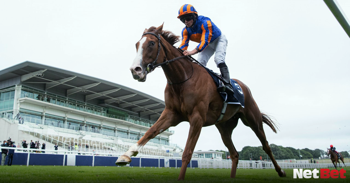 2022 investec derby betting