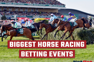 Horse Racing betting