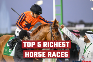 Top 5 Richest Horse Races in the World