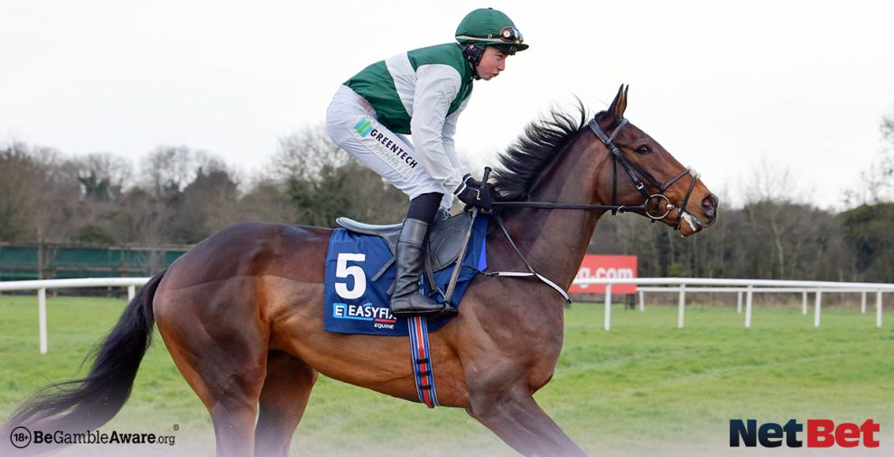 Cheltenham Festival Day 2