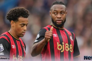Bournemouth vs Fulham Preview