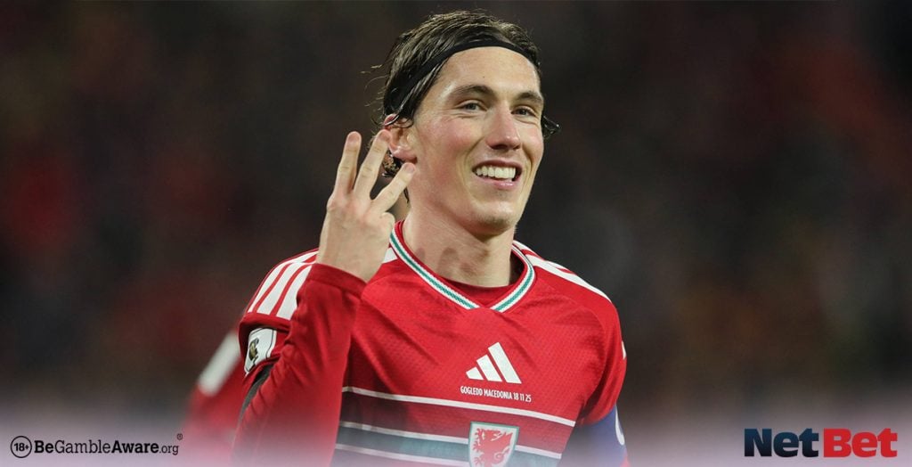 Wales vs Bosnia & Herzegovina Preview