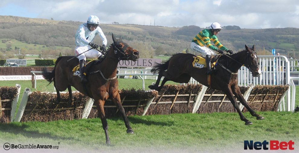 Cheltenham Festival 2026 Day 2