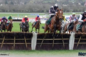 Cheltenham Festival 2026 Day 3